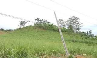 Vụ điện giật 4 người tử vong: Nhà đầu tư vi phạm nghiêm trọng