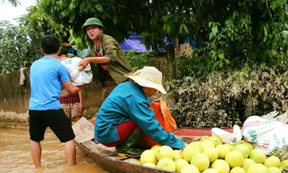 Mưa lũ khiến 5 người chết, người trồng bưởi đặc sản lo tổn thất trăm bề