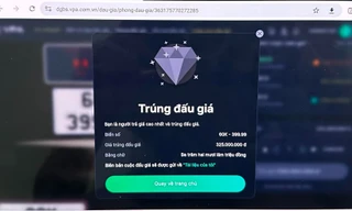 18 biển số ô tô được trả giá với số tiền hơn 13 tỷ đồng