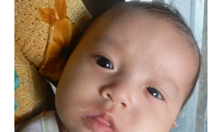 Cả nhà bị bệnh hành hạ