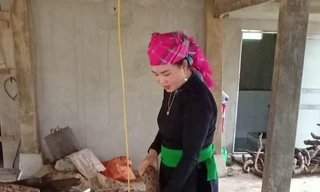 Chị Trang đang thái lát cây Gắm