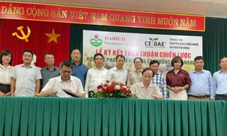 Hợp tác phát triển giống cây trồng của Hà Nội: Kiến tạo nền nông nghiệp sinh thái