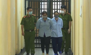 Cơ quan điều tra đã thực hiện lệnh bắt và tạm giam đối với Nguyễn Anh Thư và Phạm Ngọc Thảo để điều tra về hành vi mang thai hộ vì mục đích thương mại