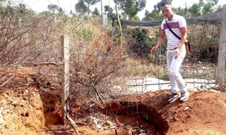 Hiện trường cây khế cổ thụ bị đào tại Đội Quản lý thị trường số 2.