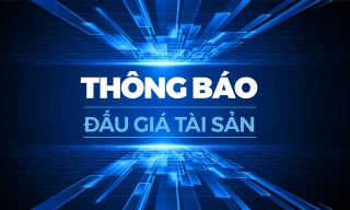 Công ty Đấu giá Hợp danh Quốc gia thông báo đấu giá tài sản
