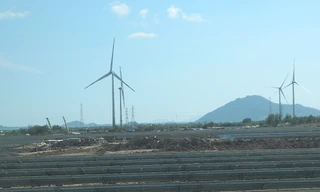 Khánh thành tổ hợp năng lượng tái tạo lớn nhất Việt Nam