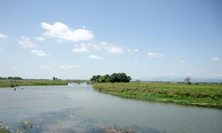 Ngôi nhà bình dị thời thơ ấu của Tướng Giáp