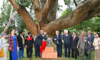 Lễ công nhận cây di sản.