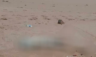 Thi thể không nguyên vẹn dạt vào bờ biển Phú Yên