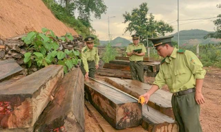 34 cán bộ một sở ở Khánh Hòa tự nguyện tinh giản, có 2 phó giám đốc