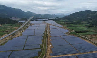 Đề xuất 'cởi trói' cho 9 dự án điện mặt trời ở Khánh Hòa