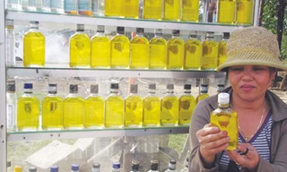 Nhìn từ bên ngoài chai, với nhiều màu sắc khác nhau, khó phân biệt đâu là dầu tràm thật