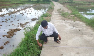 Trù dập người tố cáo?