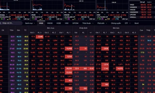 VN-Index “thủng” mốc 900 điểm. ảnh minh họa 