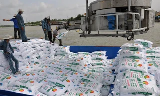 Đề xuất tăng thuế xuất khẩu, nhằm giảm giá phân bón trong nước. ảnh minh họa 