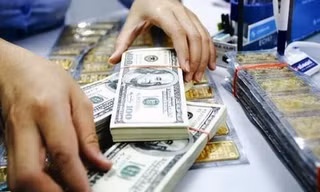 Vàng chững lại, USD sẽ không còn tăng cao. Ảnh minh hoạ 
