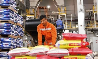 Bộ sản phẩm Phân bón Phú Mỹ của PVFCCo được công nhận là Thương hiệu Quốc gia năm 2022