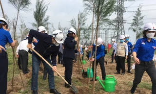 Đoàn viên Thanh niên Tập đoàn Dầu khí trồng cây tại Dự án Nhiệt điện Thái Bình 2 ngày 26/3
