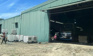 Xưởng gỗ bị yêu cầu tháo dỡ vẫn ngang nhiên hoạt động 