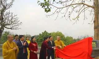 Phó Thủ tướng Trần Lưu Quang dâng hương tại chùa Tam Chúc