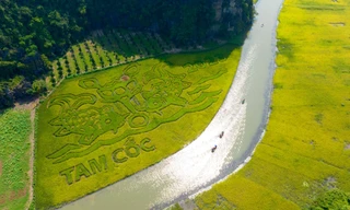 Ninh Bình khởi động tuần du lịch ‘Sắc vàng Tam Cốc - Tràng An’