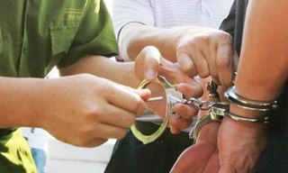 Bắt tạm giam nguyên Viện trưởng Viện SENA