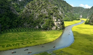 Sắc vàng Tam Cốc - Tràng An: Những khoảnh khắc đẹp như tranh vẽ