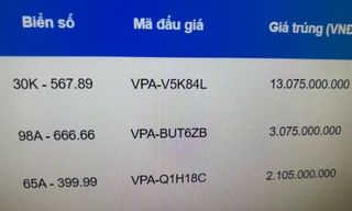 Biển kiểm soát 30K-567.89 được trả giá hơn 13 tỷ đồng
