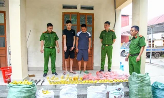 Giả thuê đất trồng rau để sản xuất đạn dược