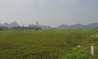 Ninh Bình vẫn giao 7,5ha đất khi chưa xác định giá, không qua đấu giá cho Tập đoàn Thành Thắng