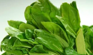 Cây cải bó xôi chữa nhiều bệnh