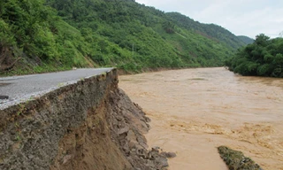 Khôi phục sản xuất, ổn định đời sống sau bão, lũ