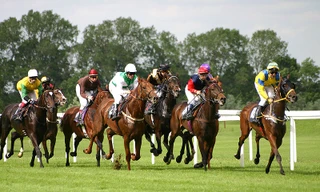 Thái Nguyên quy hoạch trường đua ngựa, làm thêm 13 sân golf