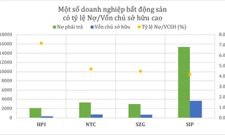 Điểm tên doanh nghiệp bất động sản ‘ôm’ nợ cao gấp 5 lần vốn chủ sở hữu
