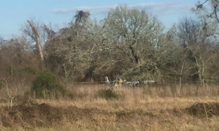 Khu vực xảy ra vụ tai nạn 