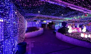 Dây đèn giáng sinh 1,2 triệu bóng lập kỷ lục thế giới