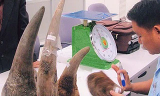 Ngành Hải quan bắt giữ, xử lý 1.671 vụ vi phạm trong tháng 5/2013