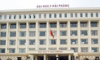 Giả chữ kí Bộ trưởng, liên kết đào tạo sai quy định