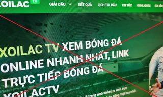 Việt Nam thiệt hại hơn 7.000 tỷ đồng do vi phạm bản quyền