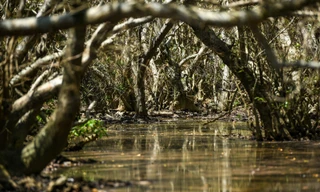 Điểm check-in không thể bỏ qua khi đến Huế xem chung kết Hoa hậu Việt Nam