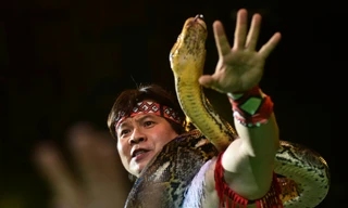 NSND Tống Toàn Thắng: 'Thưởng Tết ở Liên đoàn Xiếc tăng cao'