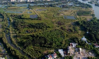 Tổng giám đốc công ty Tân Thuận bị cách hết chức vụ trong Đảng