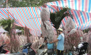 Công việc chở thuê vào ngày cuối năm đang rất bận rộn.