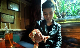 Quán cà phê có 40 con rắn, thằn lằn, kỳ đà ở Hà Nội