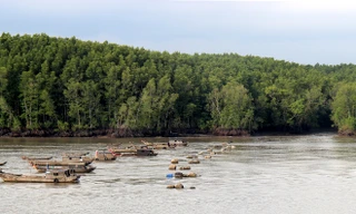 Mênh mang sông Lòng Tàu