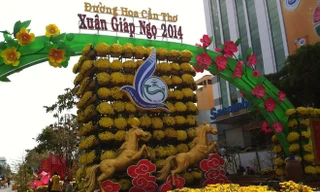 Đường hoa xuân Cần Thơ tụ hội hồn sông nước 