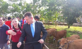 Ông Wilf Blackburn trao bò cho người dân địa phương