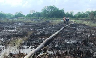 Hiện trường vụ cháy khiến hàng cánh đồng cỏ bị thiêu rụi