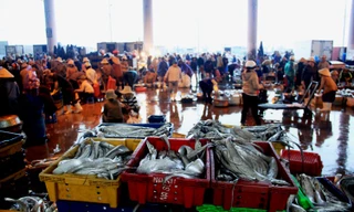 Chợ lao động nơi bến cá ngày cận Tết