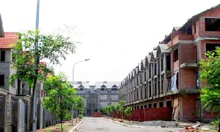 Chiêu trò làm giá?